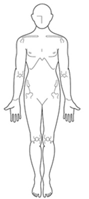 体